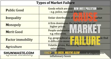 Pollution's Impact: Understanding Market Failure and Its Solutions