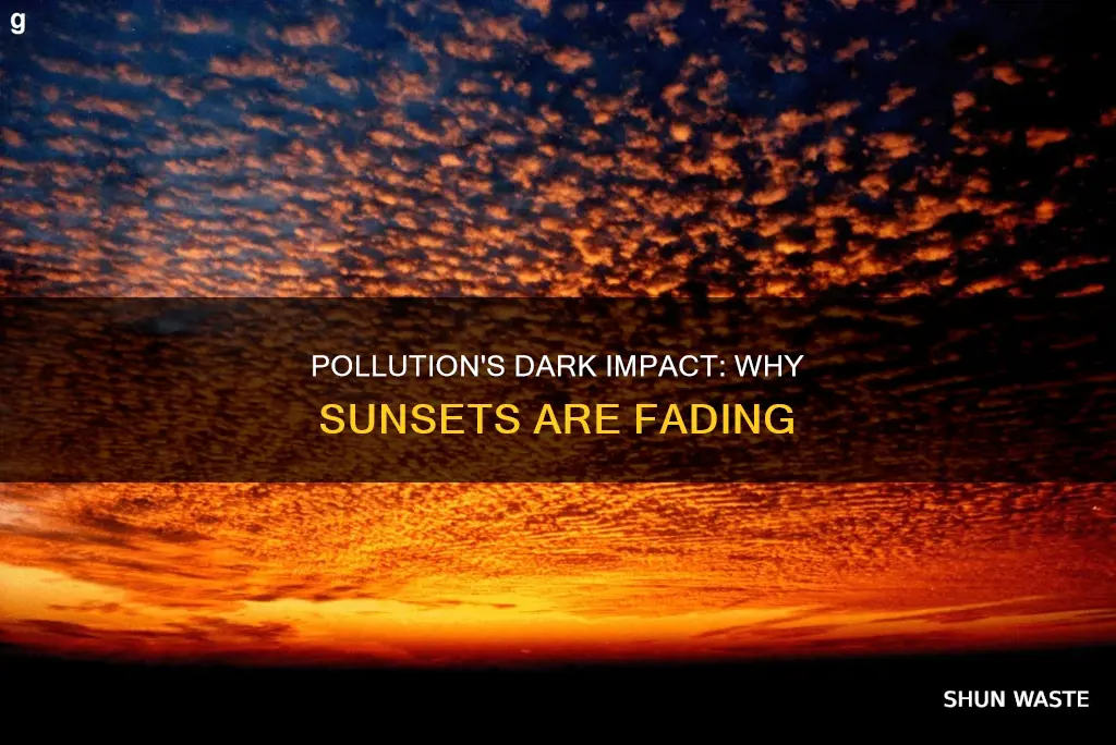 how does pollution cause nice sunset