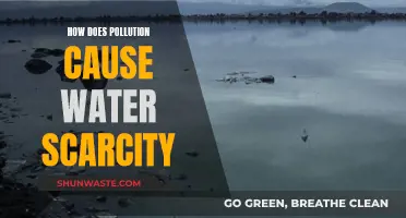 Pollution's Impact: How Contaminants Deplete Our Water Sources