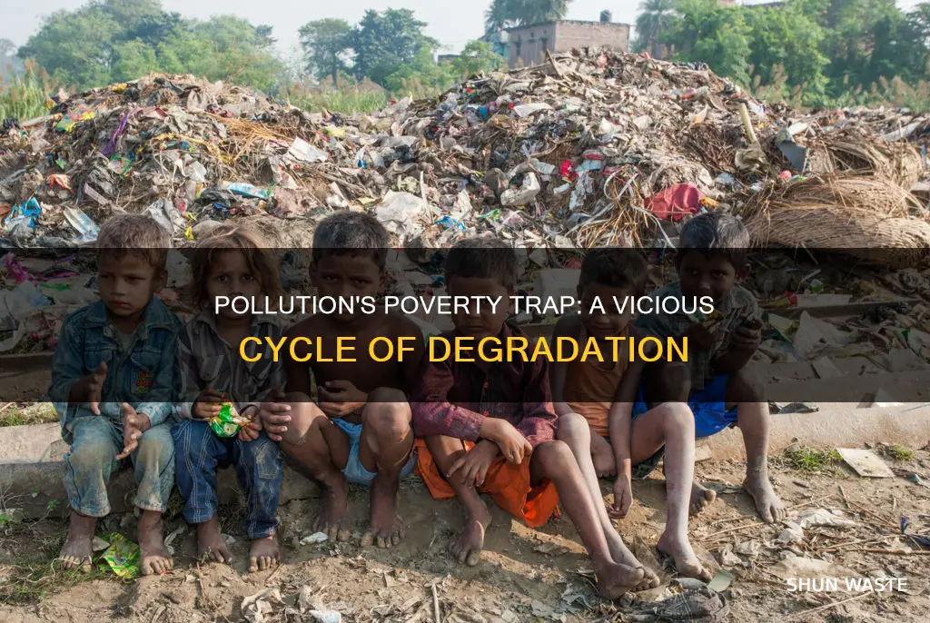 how does pollution causes poverty
