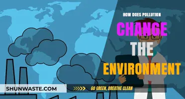 The Impact of Pollution on Our Changing Environment