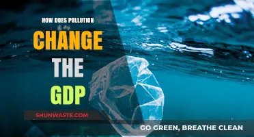 Pollution's Impact: GDP's Dark Side