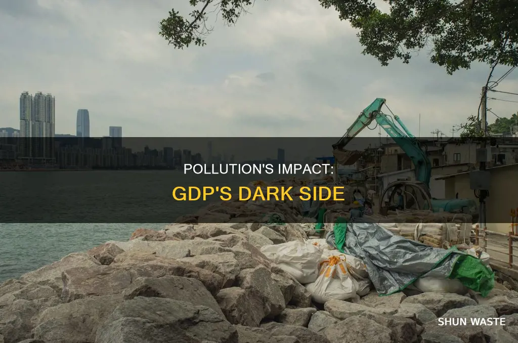 how does pollution change the gdp