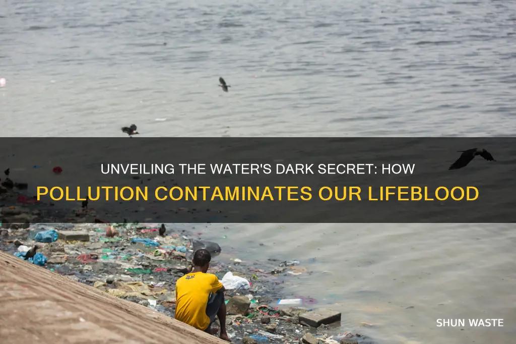 how does pollution contaminate the water