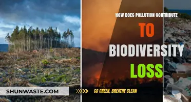 Pollution's Impact: Devastating Biodiversity Loss