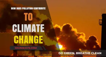 Climate Change: Pollution's Impact and Influence