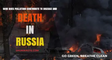 Russia's Pollution Crisis: Diseases and Deaths Explained