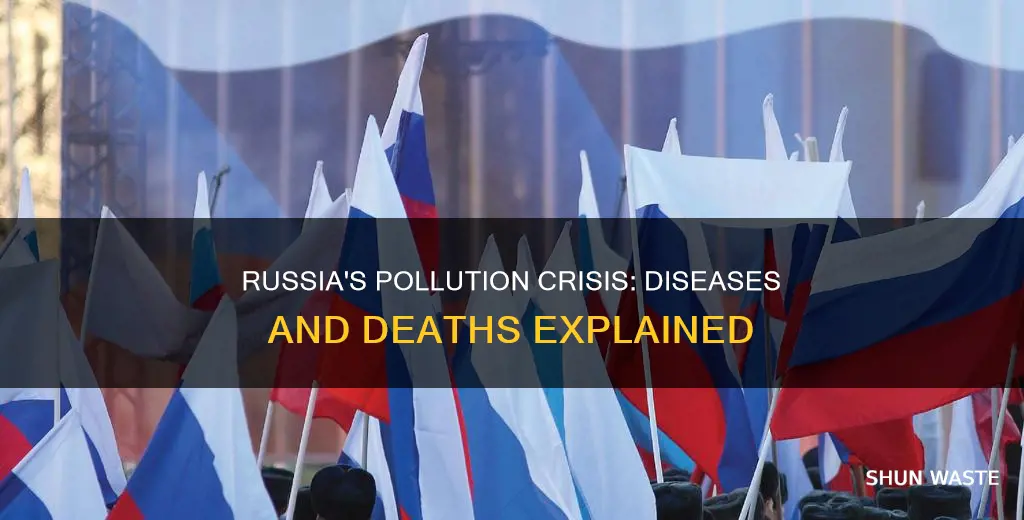 how does pollution contribute to disease and death in russia