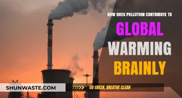 Pollution's Role in Global Warming