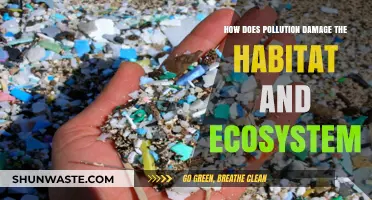 Pollution's Devastating Impact on Habitats and Ecosystems