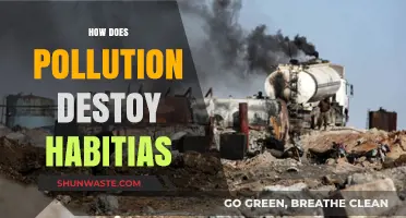 Pollution's Devastating Impact on Natural Habitats