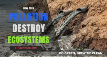 Pollution's Devastating Impact on Ecosystems