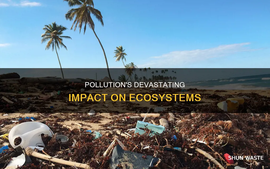 how does pollution destroy ecosystems