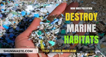 Pollution's Impact: Destroying Marine Habitats and Ecosystems