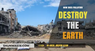 Pollution's Devastating Impact on Our Planet