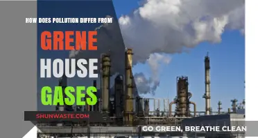 Understanding Pollution and Greenhouse Gases: What's the Difference?