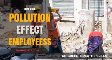 Pollution's Impact: Employee Health and Performance