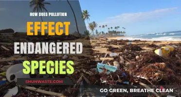 Pollution's Impact: Endangered Species at Risk