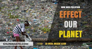 Pollution's Impact: Our Planet's Future at Stake