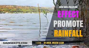 Pollution-Induced Rain: Understanding the Impact