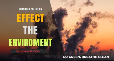 Pollution's Impact: Environmental Fallout and Future Threats