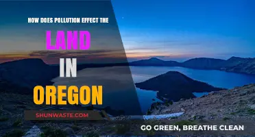 Oregon's Land Pollution: Causes and Impacts