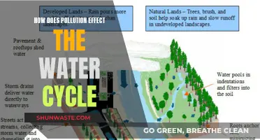 Pollution's Impact on the Water Cycle: A Comprehensive Overview