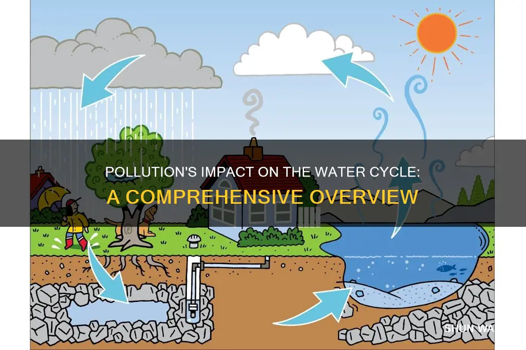 how does pollution effect the water cycle