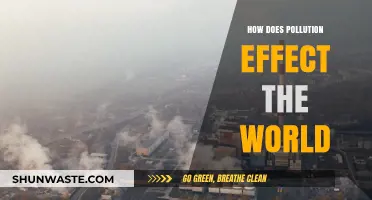 Pollution's Impact: A Global Crisis