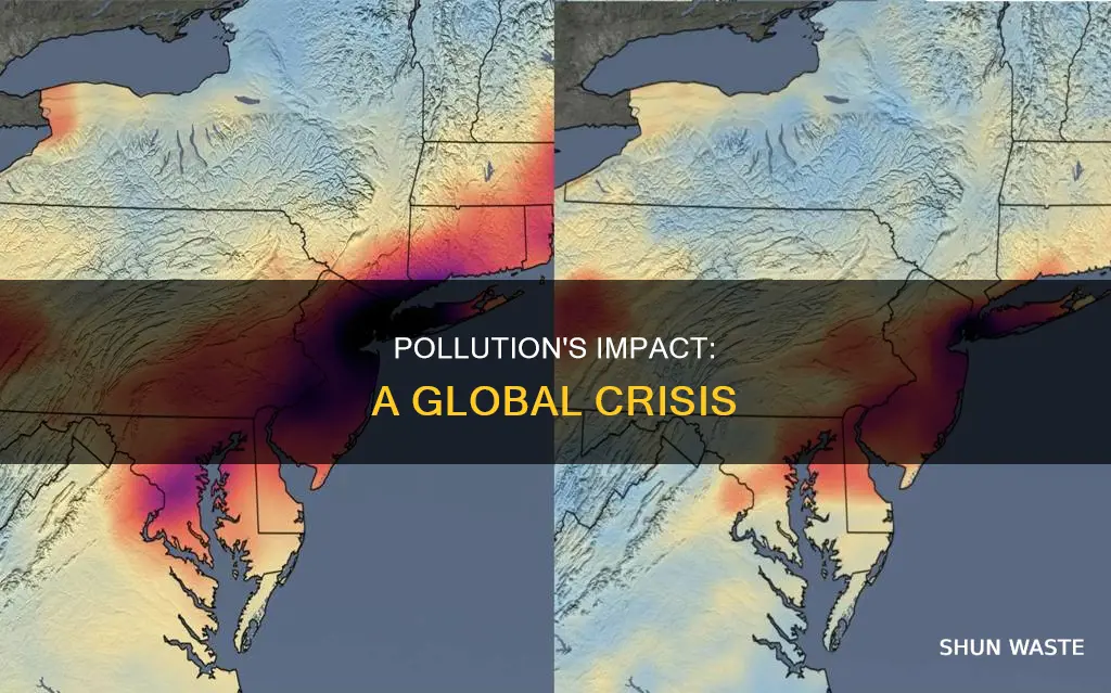 how does pollution effect the world