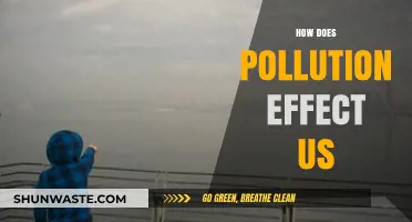 Pollution's Impact: Understanding the Devastating Effects on Our Health