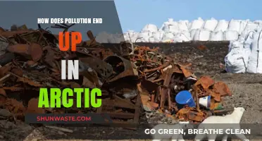 Arctic Pollution: Global Impact, Local Damage