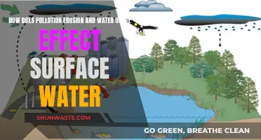 Pollution, Erosion, and Water Usage: The Surprising Impact on Surface Water Quality