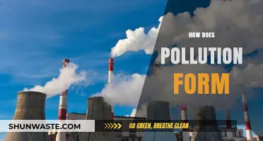 The Birth of Pollution: Understanding Its Formation