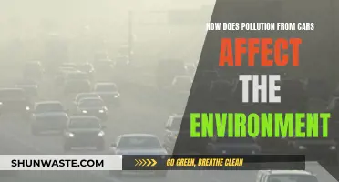 Cars' Pollution Impact: Understanding Environmental Consequences