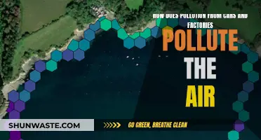 Air Pollution: Cars and Factories' Deadly Emissions