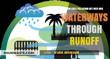Pollution's Path: Runoff's Role in Waterway Contamination