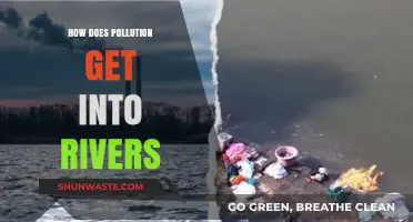 Human Impact: River Pollution Sources