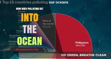 The Ocean's Pollution: Sources and Solutions