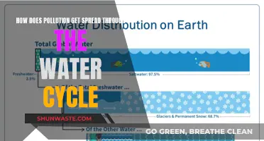 Pollution's Journey: How Water Cycle Spreads Contamination