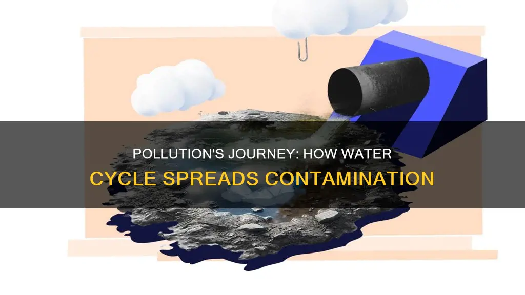 how does pollution get spread through the water cycle