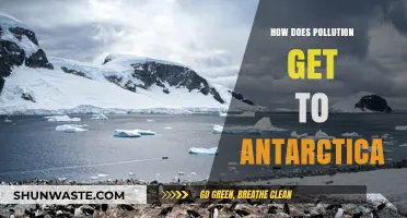 Antarctica's Pollution: A Global Problem
