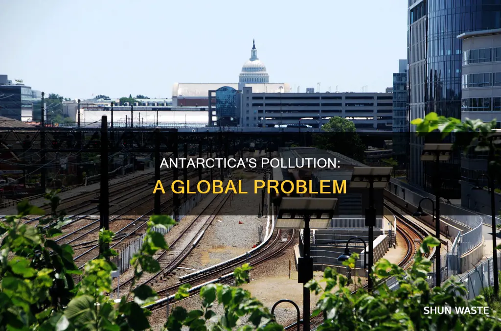 how does pollution get to antarctica