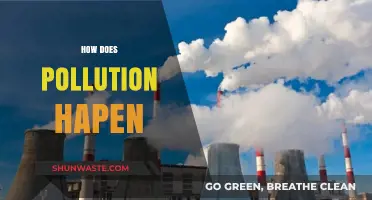 The Earth Suffocates: Understanding Pollution's Causes