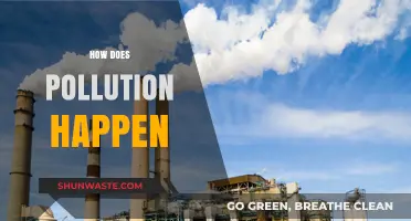 Understanding the Causes of Pollution and Its Impact