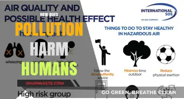 Pollution's Harmful Effects on Human Health