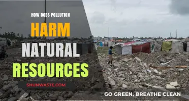 Pollution's Harmful Impact on Natural Resources