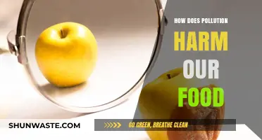 Pollution's Harmful Impact on Our Food Sources