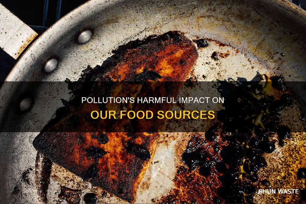 how does pollution harm our food