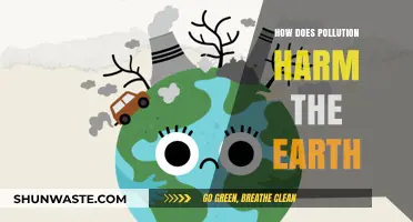 Pollution's Harmful Impact on Our Planet